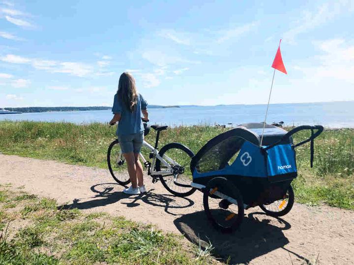 Produktbild hamax Traveller