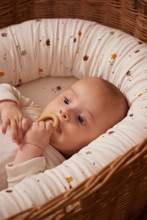 Actual product image Filibabba Silicone teething ring 2-pack - Vintage Rose (0 Months)