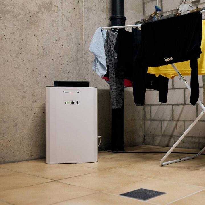 Actual product image ecofort ecoQ 9L DryAir steady (50 m², 9 l/24h)