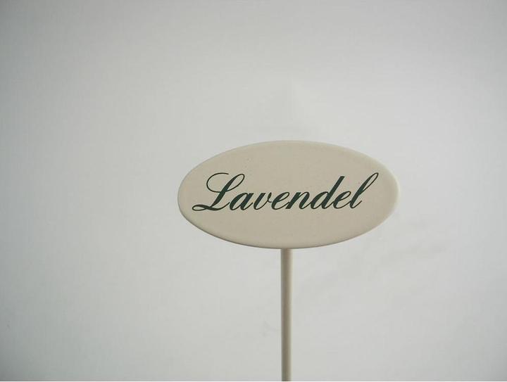 Actual product image Münder Lavender Spice Stick 20 cm (20 cm)