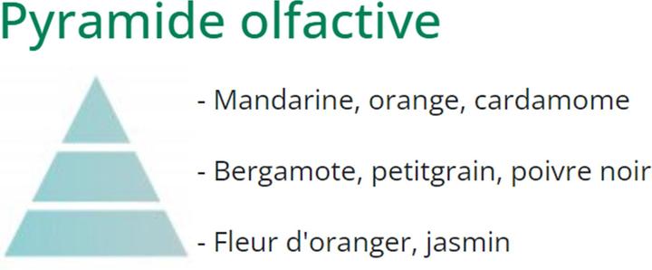 Actual product image Maison Berger Duft Eclatante Bergamote (500 ml)