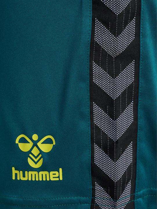 Image du produit hummel Hmlauthentic Pl Shorts (3XL)