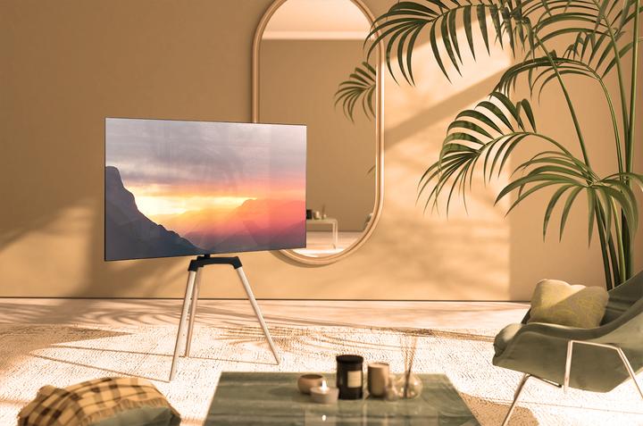 Actual product image myWall HT21 (65", 35 kg)