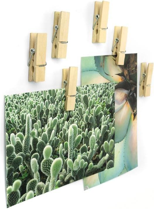 Image du produit Trendform Clip de Woody (6x)