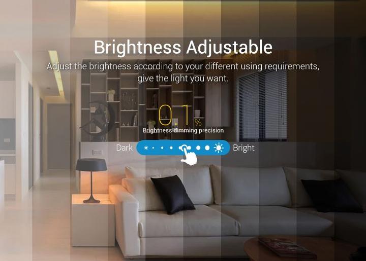 Actual product image Synergy 21 FUT088