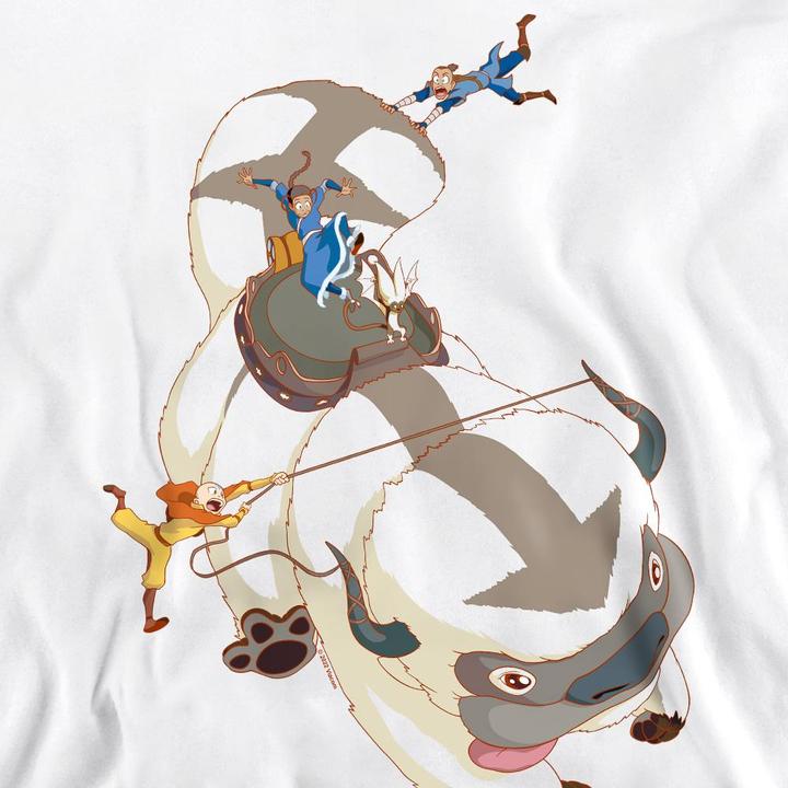 Immagine prodotto Avatar: The Last Airbender Hang On Felpa Appa Adulto Unisex (M)