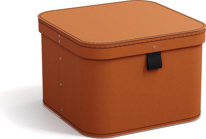 Actual product image Bigso Ludvig storage box