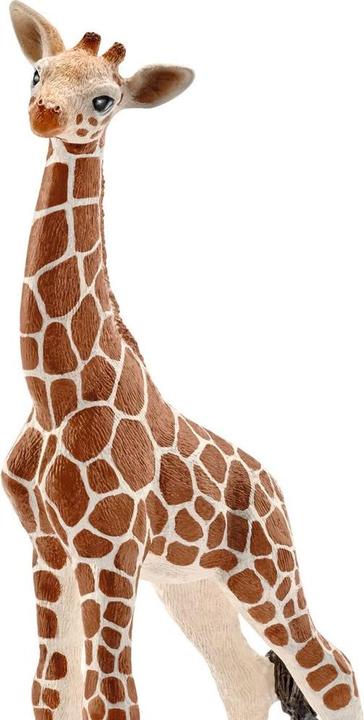 Actual product image Schleich Baby giraffe