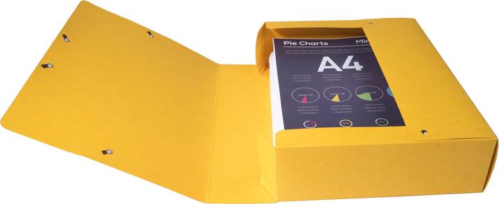 Image du produit Exacompta Archivboxen (A4)