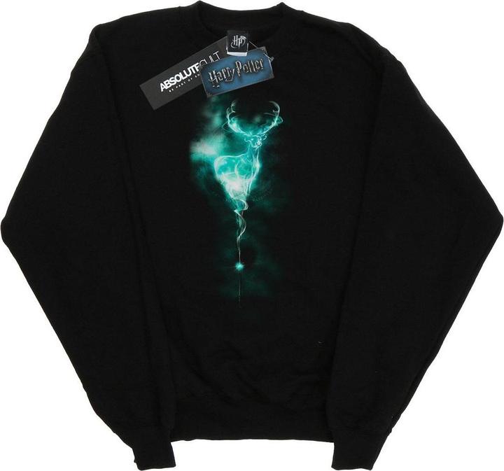 Image du produit - Sweat STAG PATRONUS MIST - Fille (116)