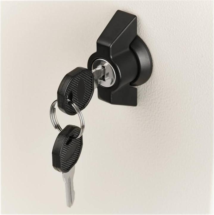 Immagine prodotto Eaton TRIPPLITE SmartRack Armadio industriale con serratura - NEMA 4 52,07cm 20,5Zoll Profondità 6U Grigio (6 HE, Rack da 19 pollici)