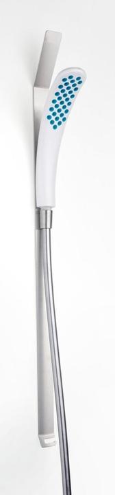 Diaqua Magnetic Shower (1 Strahlart, 10 l/min)
