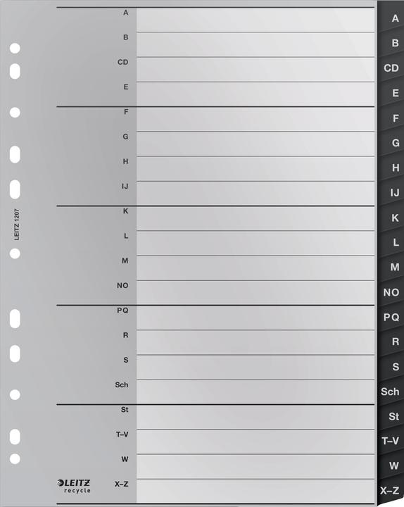 Leitz Register Recycle