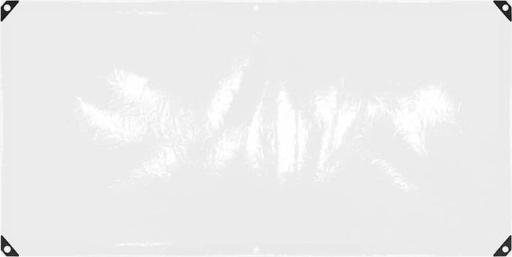 Image du produit vidaXL Bâche transparente avec oeillets 1x2 m PVC Bâche transparente