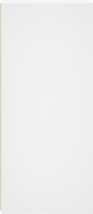 Immagine prodotto VidaXL Credenza (30 x 41 x 93 cm)