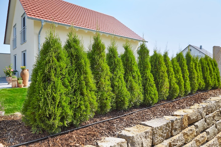 Productafbeelding Gardena MDS Start Set Plantrijen M (Set druppelirrigatie)
