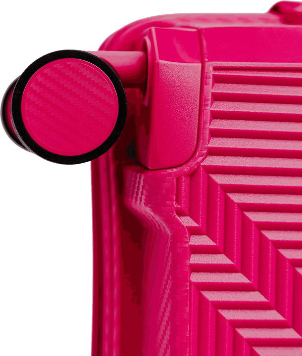 Actual product image Swissbags Vision (30 l)