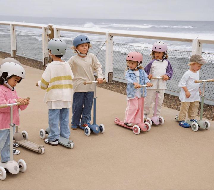 Actual product image Banwood Vintage ECO Scooter