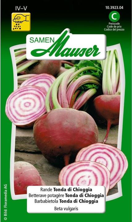 Samen Mauser Rande Tonda di Chioggia (Gemüsesamen)