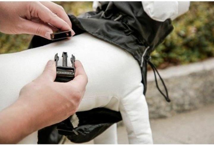 Actual product image Kerbl Forks (XL, Dog coat)