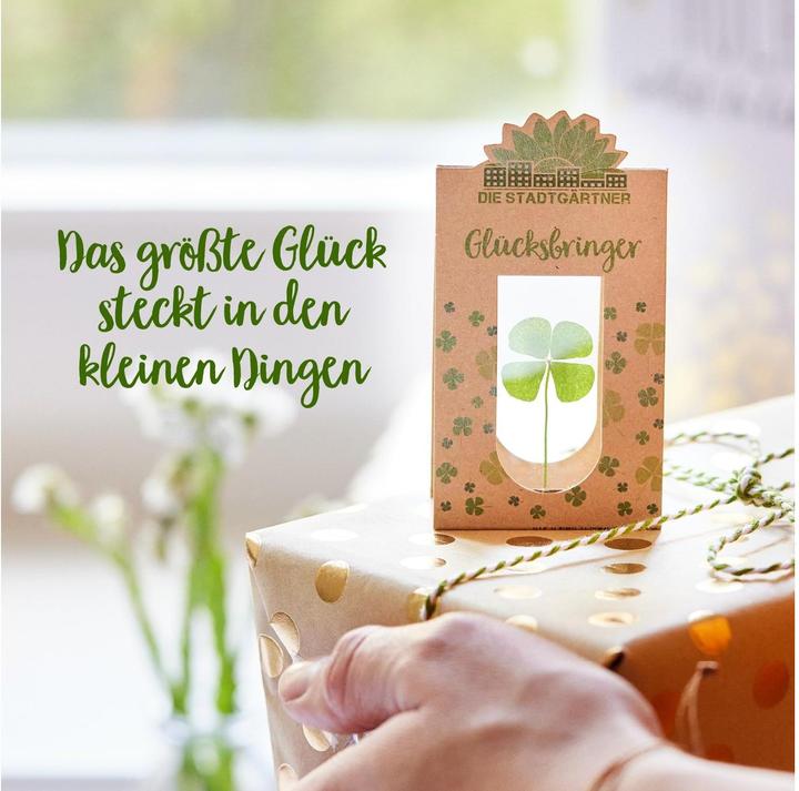 Actual product image Die Stadtgärtner Lucky charm (Dried flowers, 1x)