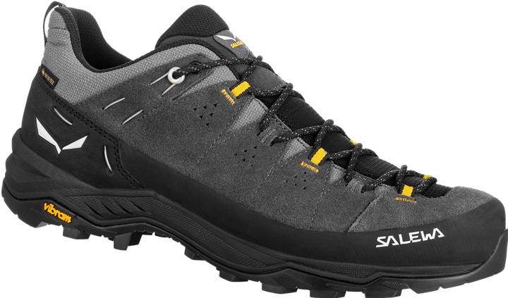 Actual product image Salewa Alp Trainer 2 GTX (43)