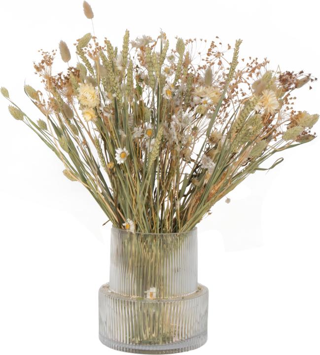 Immagine prodotto Plant in a Box Tarwe, Rhodanthe, Helichrysum, Lagarus, Bupleurum, Phalaris. (55 cm)