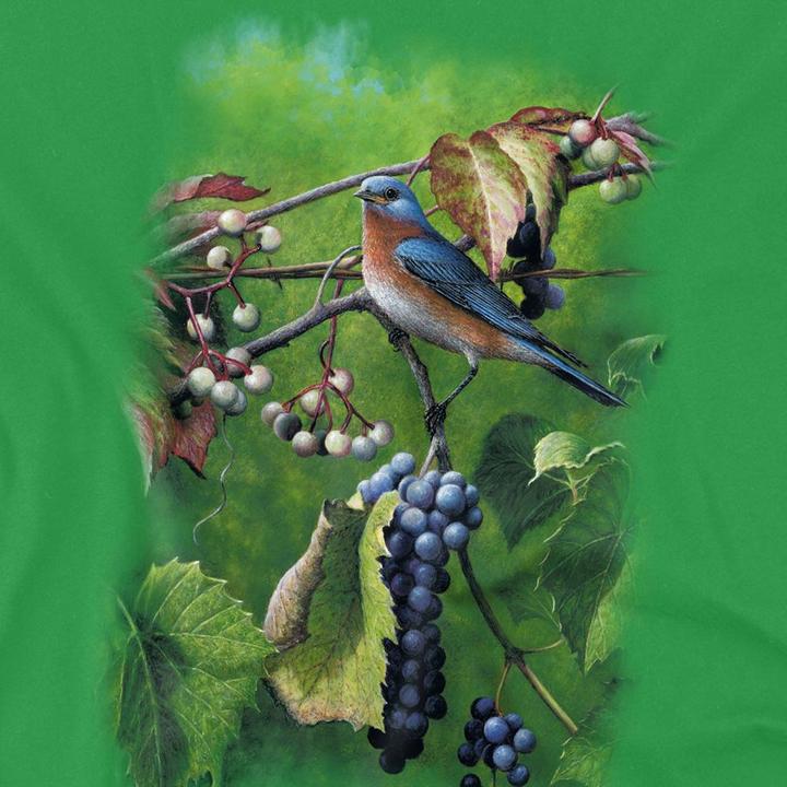 Produktbild Wildlife Summertime Eastern Bluebird TShirt (S)
