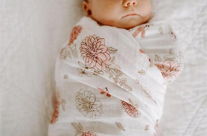 Produktbild aden + anais Swaddles (120 cm, 120 cm)