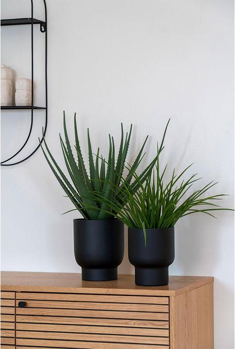 Actual product image House Nordic Aloe (51 cm)