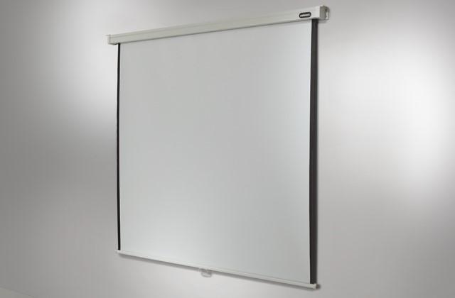 Actual product image Celexon Rollo Professional (112", 1:1)