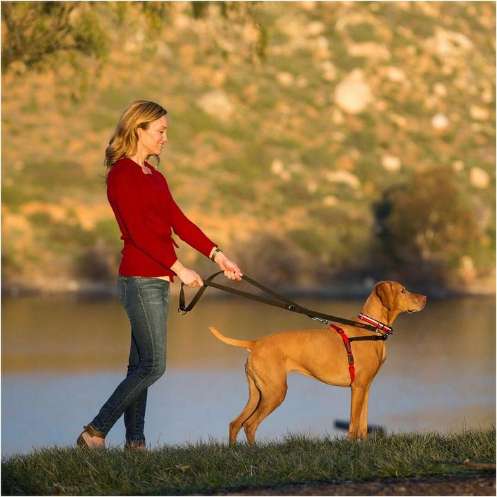 Produktbild Company of Animals Halti Antizug L Front Control (L, Hund, Spazieren)