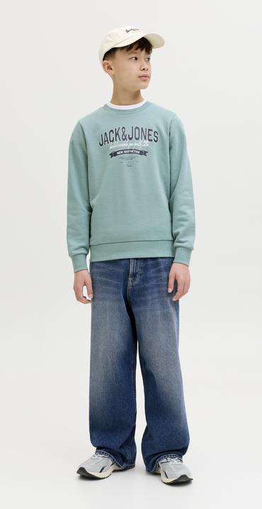 Produktbild Jack & Jones Jjelogo Sweat Crew Neck 2 Col Ss26 Jnr (128)