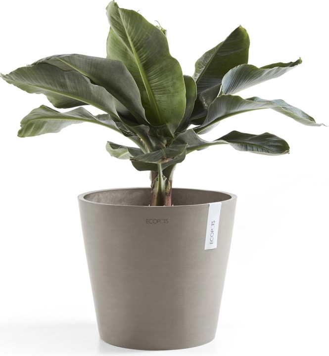Immagine prodotto Ecopots Amsterdam (30 cm)