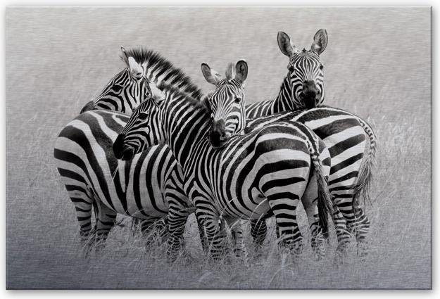 Image du produit Trenddeko Trubitsyn - Zèbres dans la savane (100 x 70 cm)