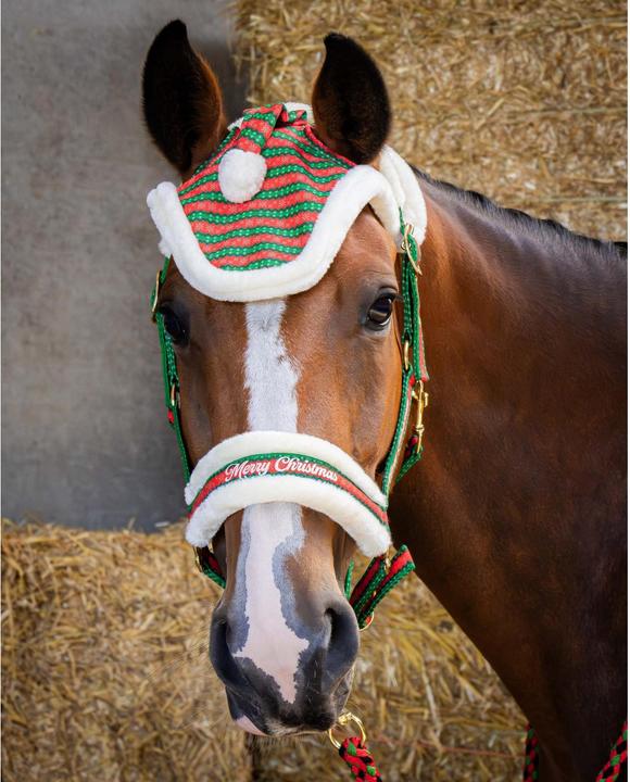 Immagine prodotto Harry's Horse Christmas
