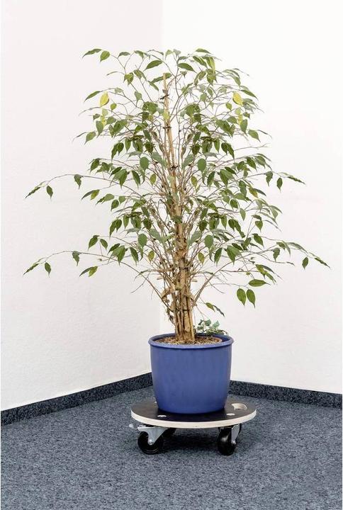 Productafbeelding Metafranc Transportrol (200 kg)