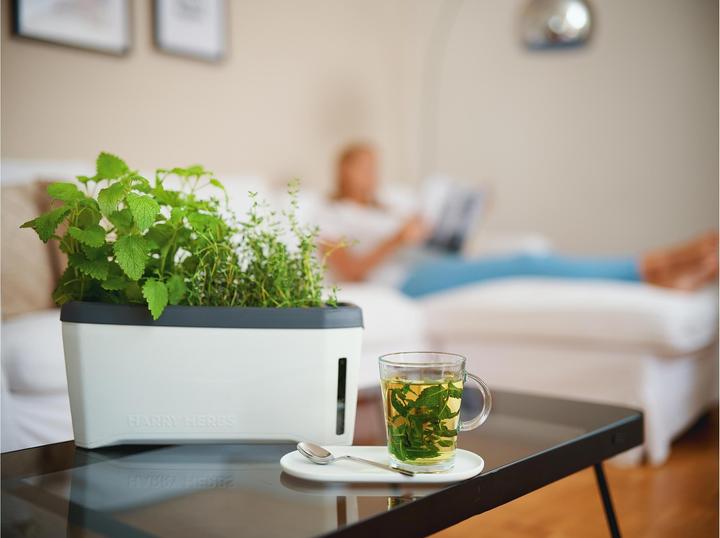 Actual product image Gusta Garden Kräutertopf HARRY HERBS mit Haube, Weiss (36.50 x 15 x 25 cm)