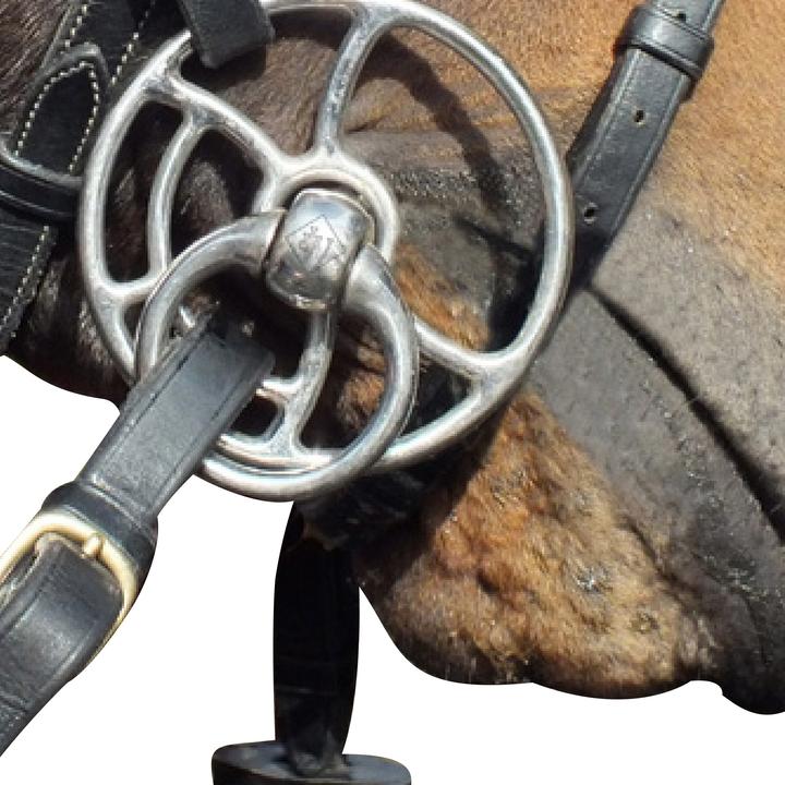 Actual product image Bullet Horse Universal Bit