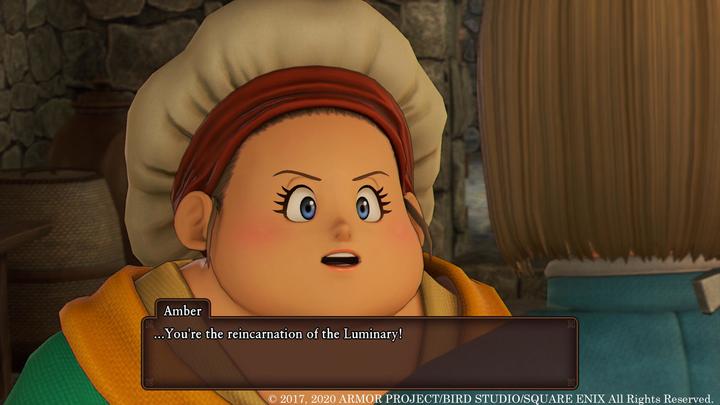 Image du produit Nintendo Dragon Quest 11 - Edition définitive (Switch, EN)
