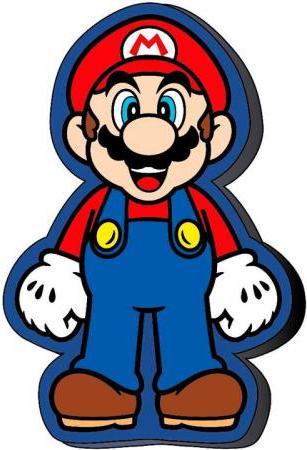 Image du produit Nintendo Coussin Super Mario Bros 3D (DSi XL)