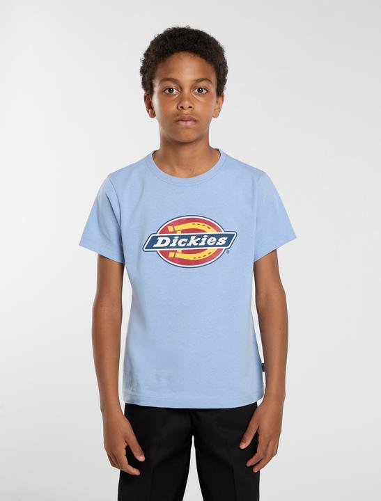 Produktbild Dickies Youth Logo Tee (L)