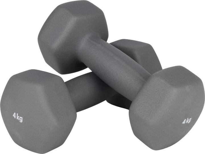 Image du produit Galaxus Haltères courts (2 x 4 kg)