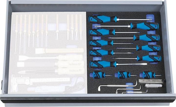 Actual product image Gedore 2005 CT2-2160 Screwdriver set in check tool module, 15 pieces