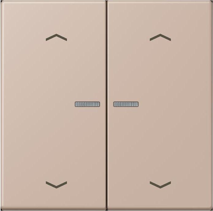 Actual product image JUNG BTLC17102P240 HOME push button