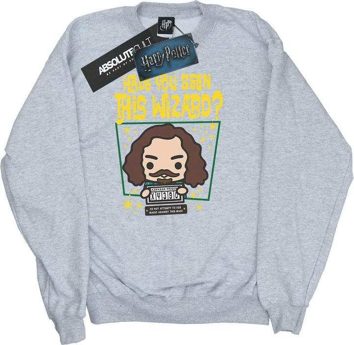 Produktbild Sirius Black Azkaban Junior Sweatshirt Jungen (116)