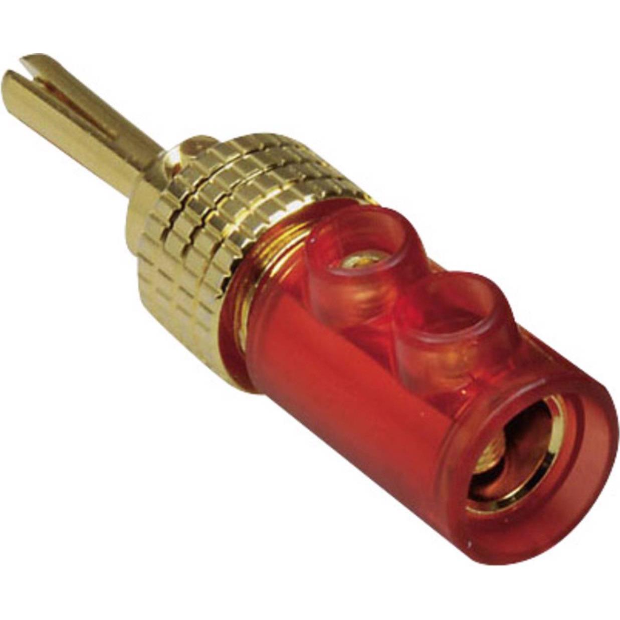 Tru Components Stecker, Elektronikkabel + Stecker, Rot