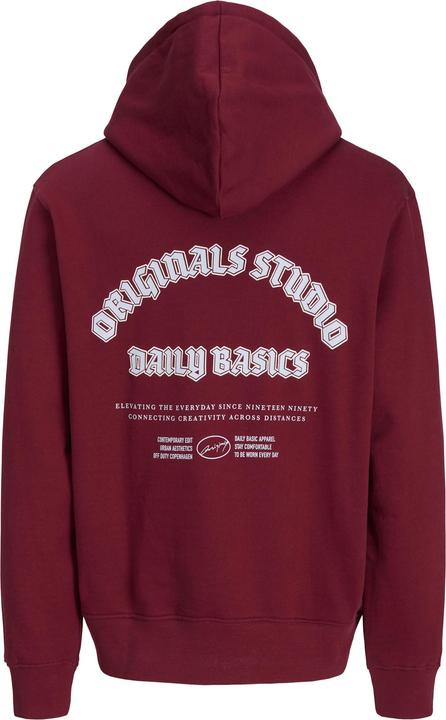 Actual product image Jack & Jones Junior Kapuzenpullover MEADOWS Hoodie (152)