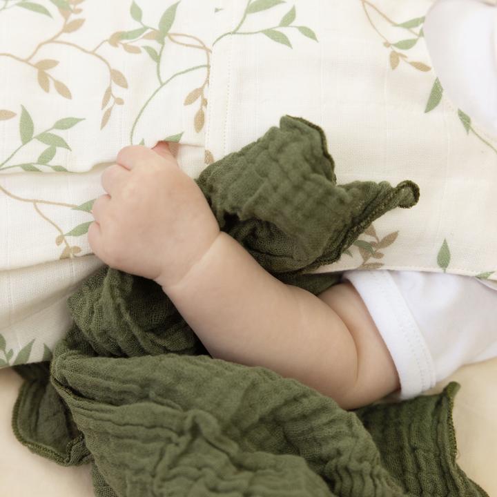 Immagine prodotto Zewi Panno di muschio (60 cm, 60 cm)