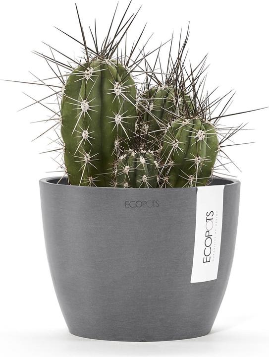 Produktbild Ecopots Stockholm (16 x 12.50 cm)